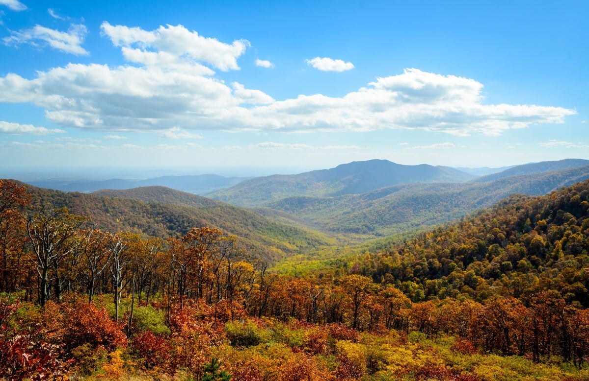 Fun Sober Things to Do Over the Summer Near Me in Virginia