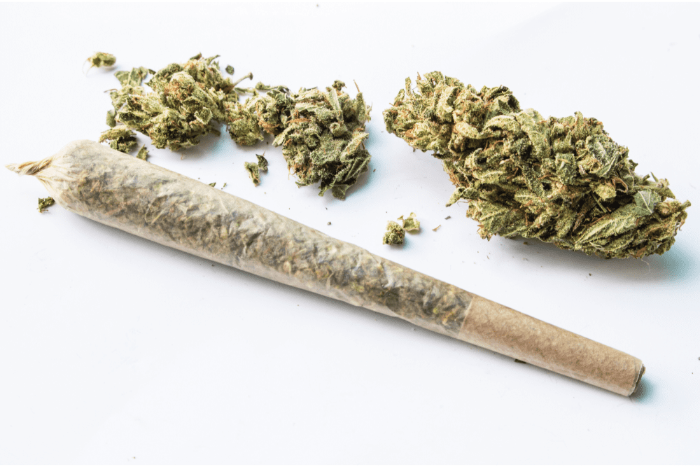 Short Term Effects of Marijuana