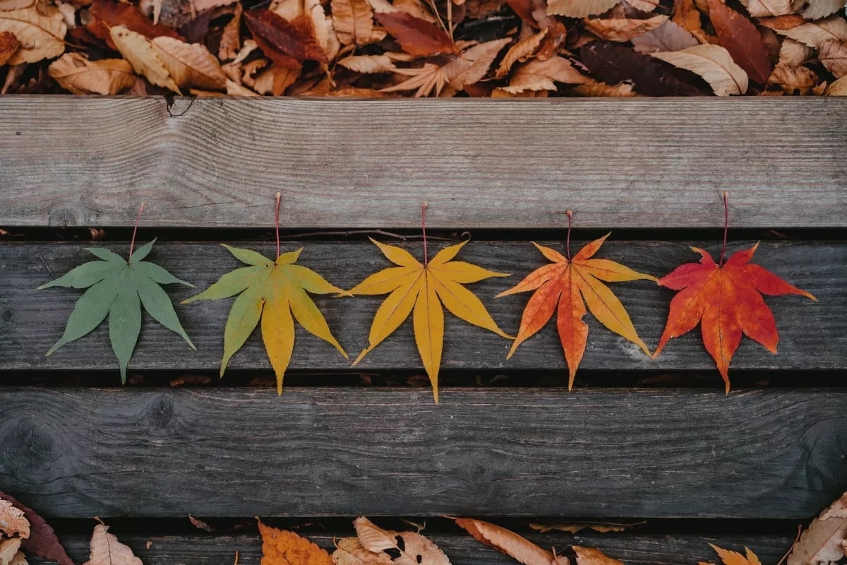 Stages of Recovery for a Drug-Free Life