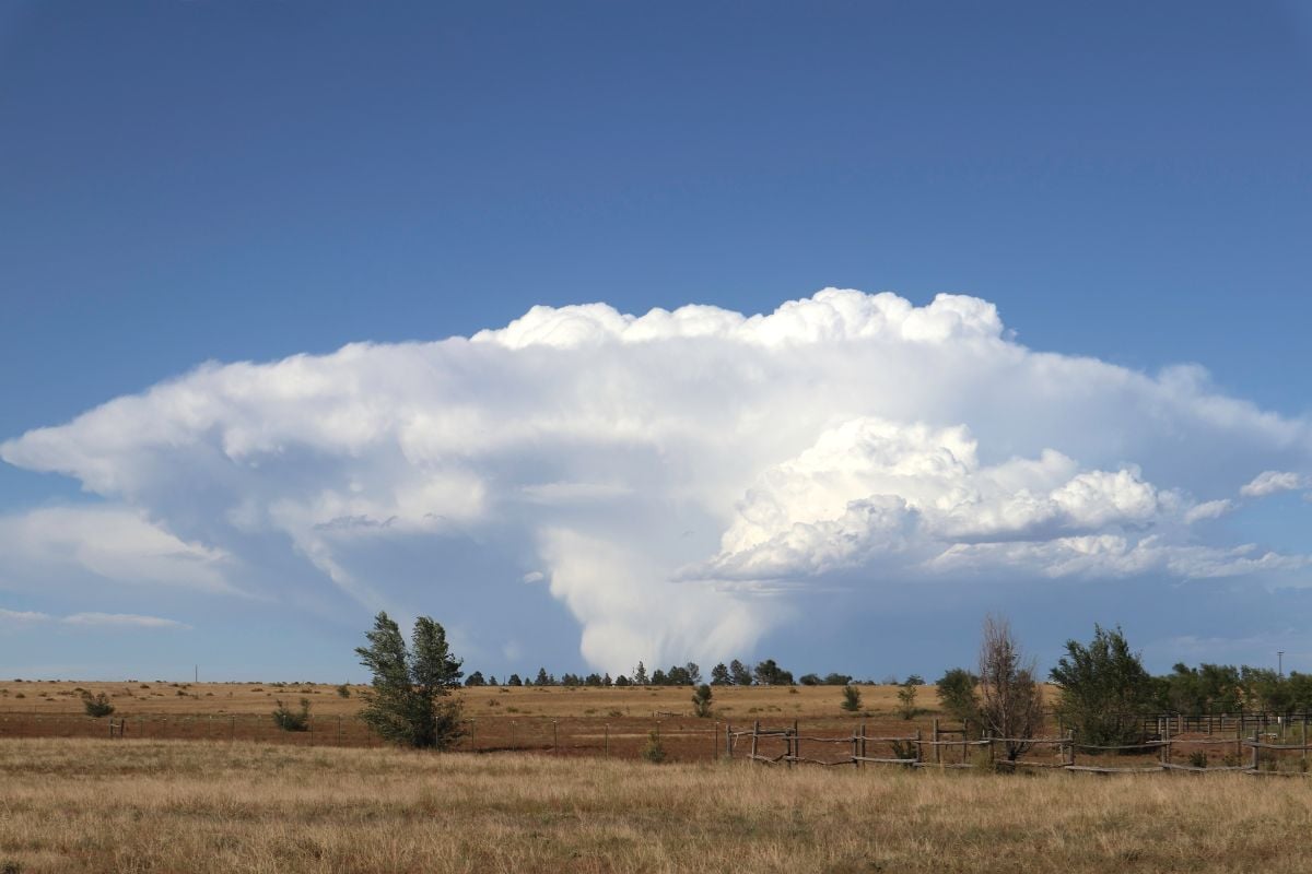 Colorado Drug Case Reveals Scale of Fentanyl Threat in Weld County