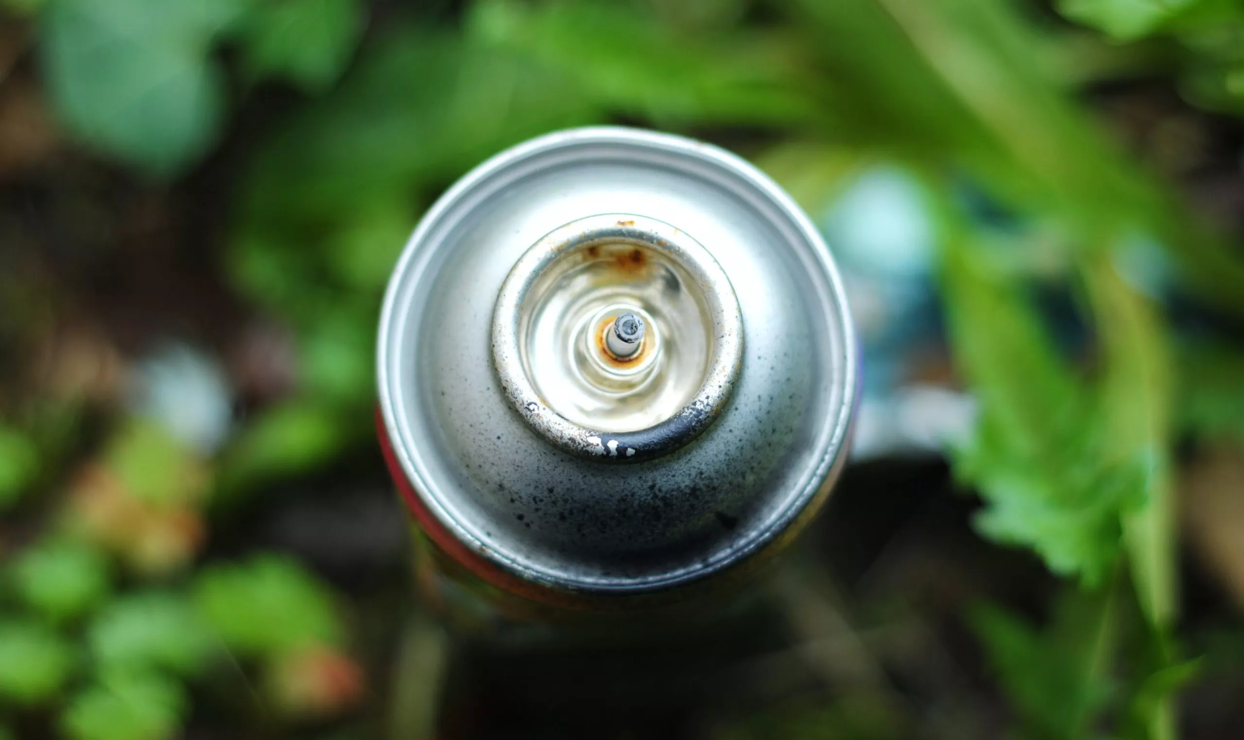 What Is The Whippets Drug?