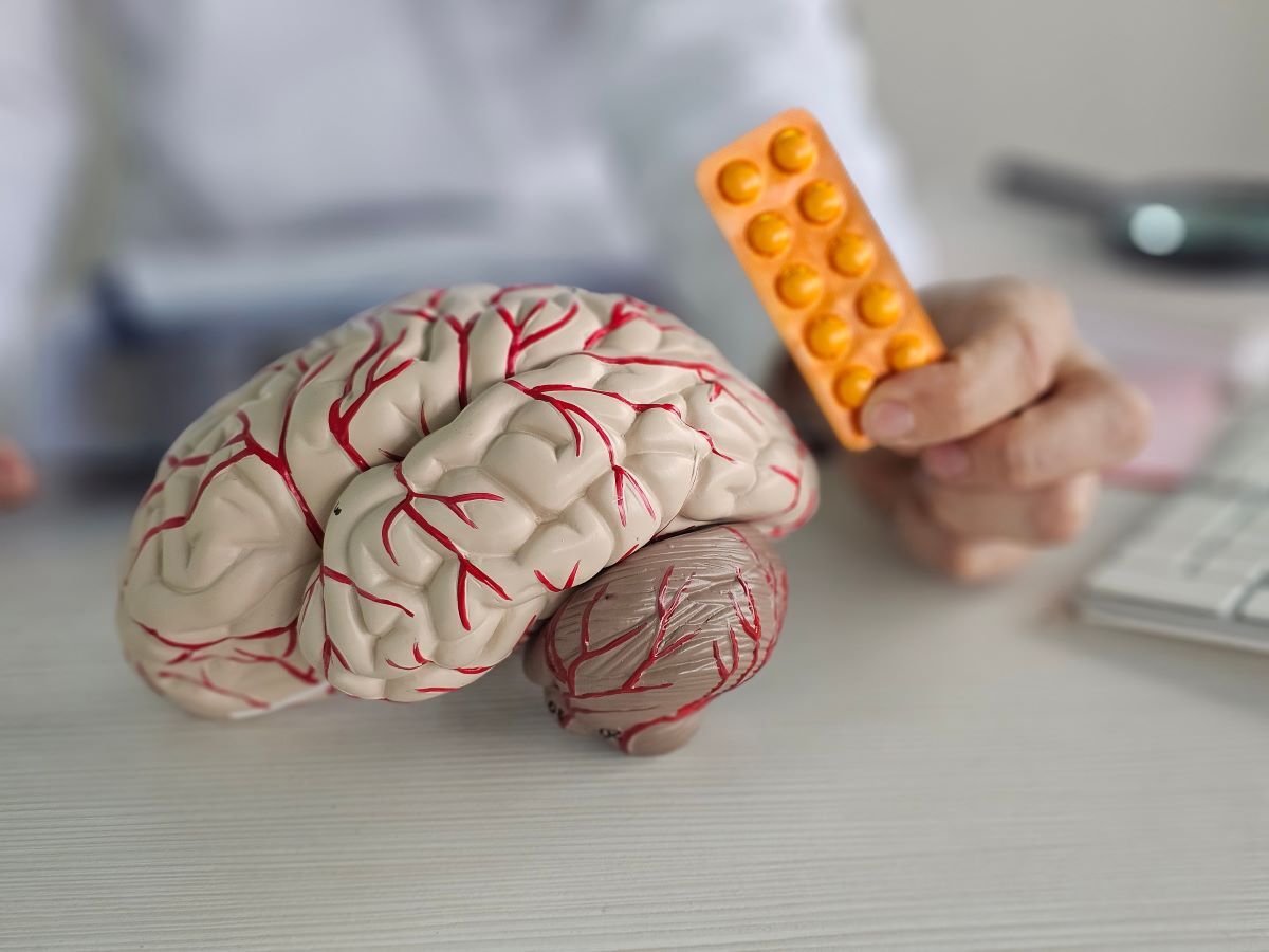How do Drugs Affect the Brain?