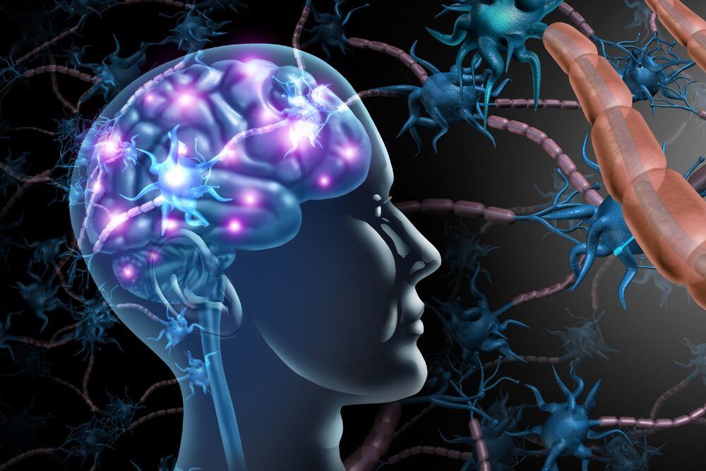 What Does Meth Do to Your Brain?