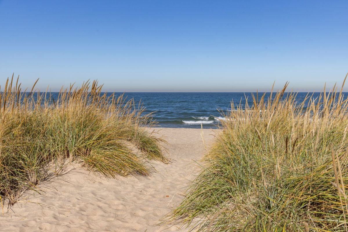 Sober Things to Do in Indiana