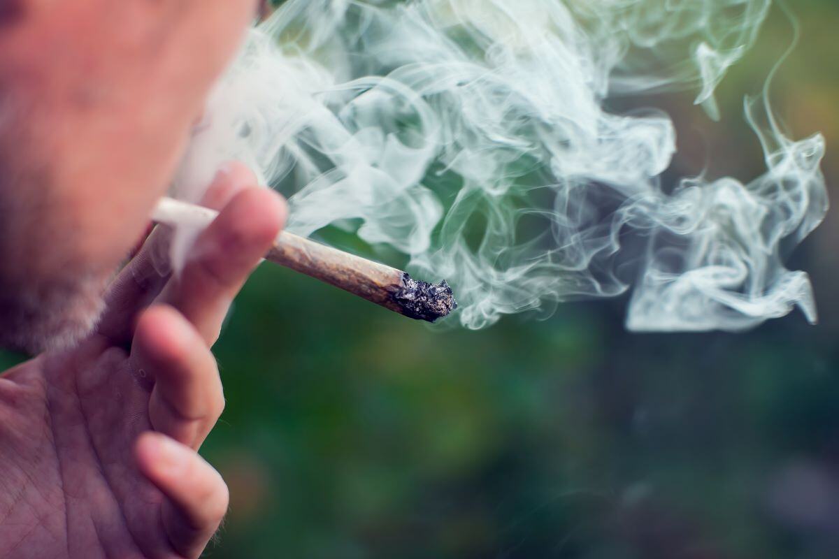 What Is Marijuana?