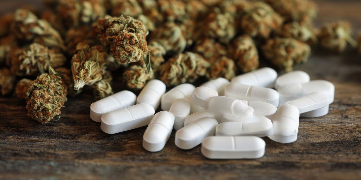 Major Drug Bust in Pike Town, Pennsylvania: Pills, Mushrooms, and 20 lbs. of Pot Seized