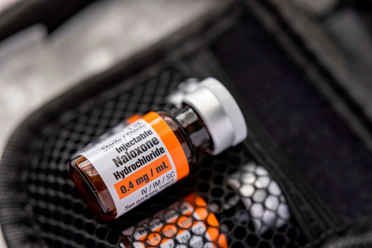 Hanover County, Virginia, Launches 'Narcan by Mail' Program to Save Lives