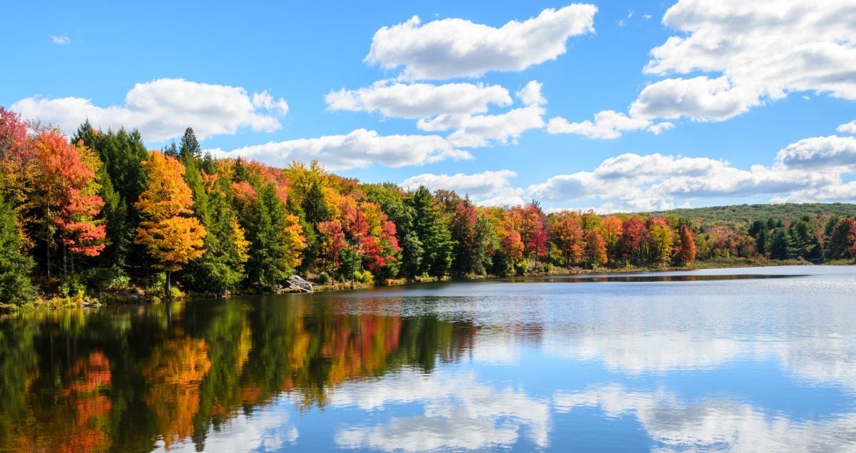 Healing Through Nature