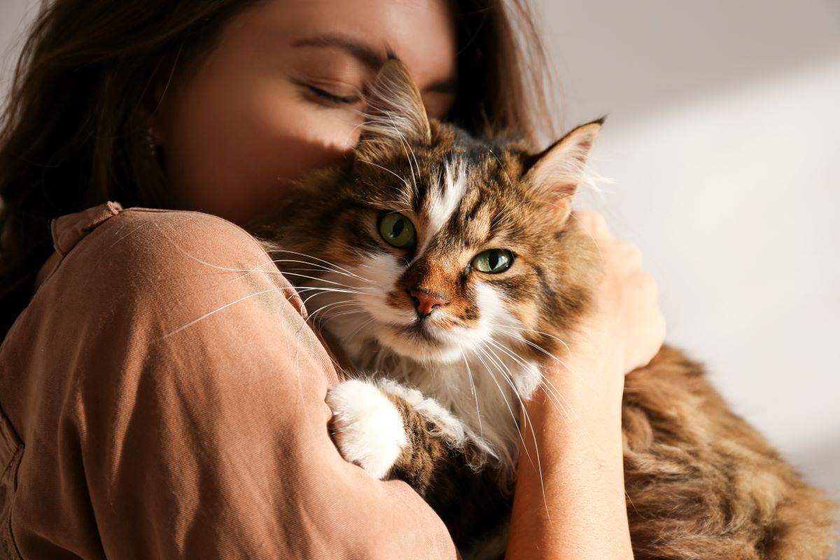 Pet-Friendly Rehab