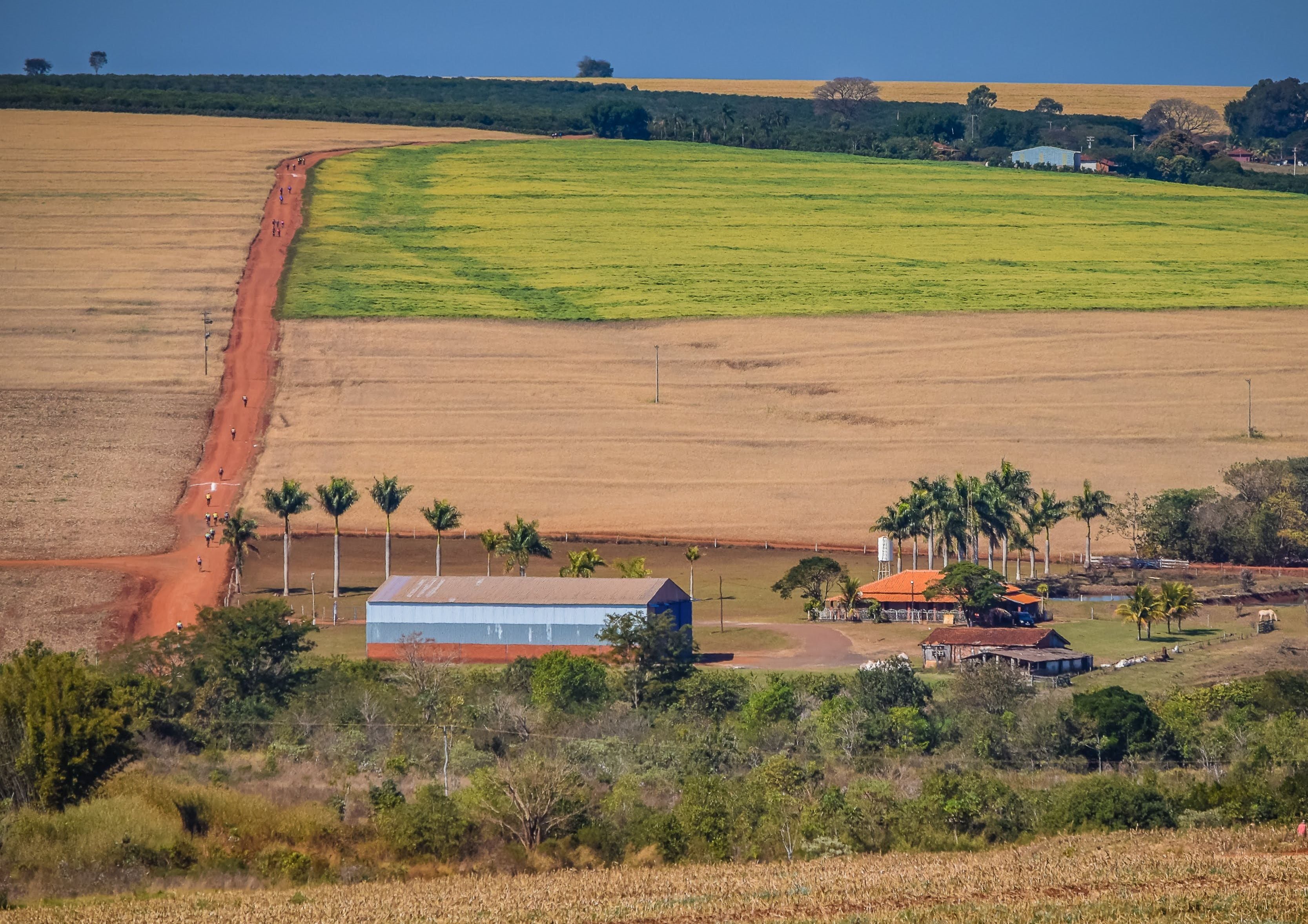 Arapahoe County Officials Report Illegal Marijuana Grow Bust