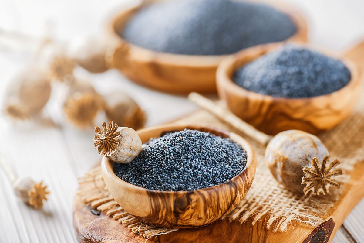 Poppy Seeds