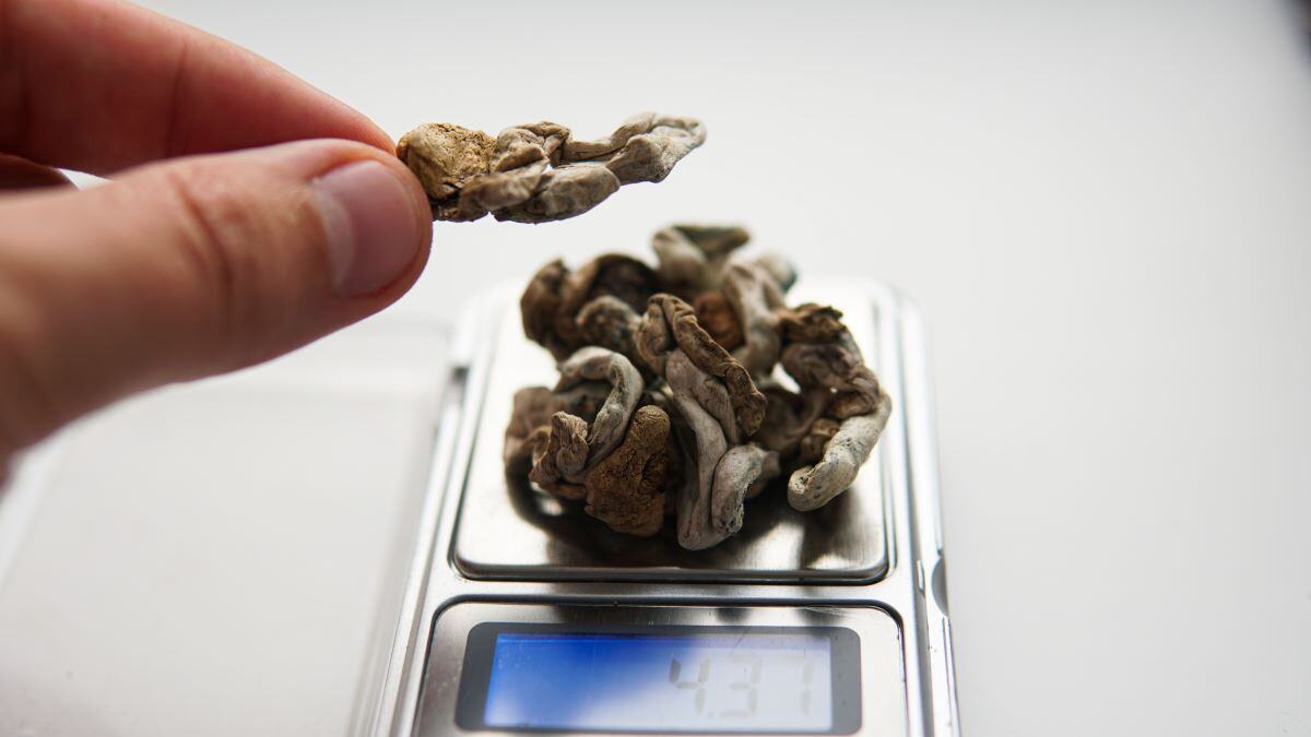 Can You Smoke Shrooms or Magic Mushrooms?