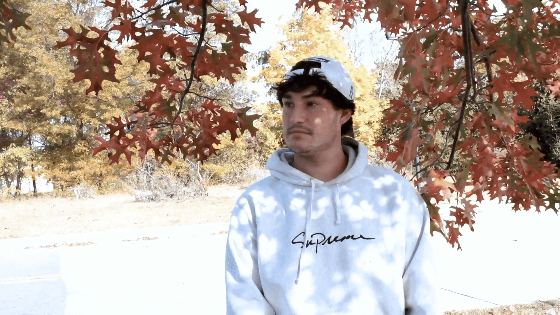 Nolan's Story